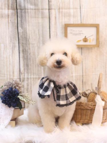 20241011こじろうくん